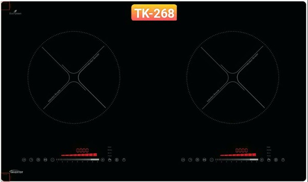 Bêp từ TK - 268
